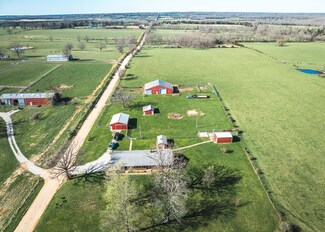11610 Cameron Rd, Licking, MO 65542