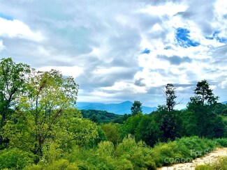 9999 Queentown Rd, Canton, NC 28716