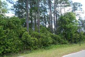 Lot 1 Virgo St, Santa Rosa Beach, FL 32459