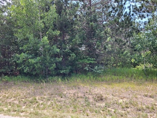 Unit #9 Bear Paw Trail, Corwith Township, MI 49795