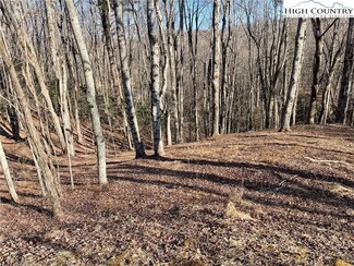 16 Jackson Ridge Rd, Boone, NC 28607