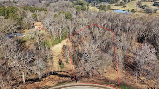 4223 Savannah Hills Ln, Longview, TX 75605