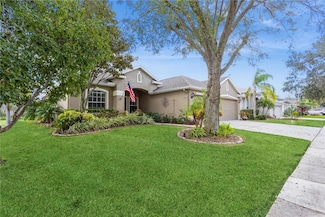 1433 Emerald Hill Way, Valrico, FL 33594