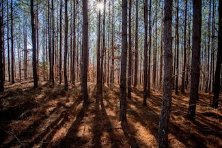 0 Mayfield Divide Rd, Centerville, TN 37033