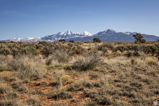117 Flat Iron Mesa Rd Unit 46, Moab, UT 84532