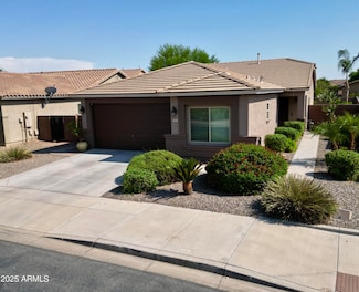953 W Witt Ave, San Tan Valley, AZ 85140