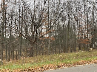254 Linksview Way, Butman Township, MI 48624