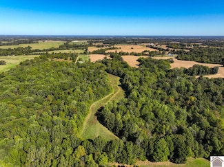 000 Simon Rd Unit (Hickman Co. KY 31.8, Clinton, KY 42031