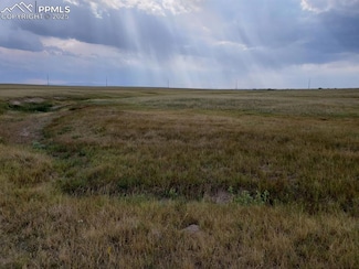 8155 Cowboy Ranch View, Falcon, CO 80831