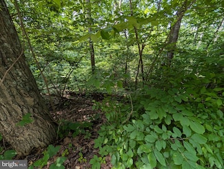 LOT 105 Summit Point Dr, Front Royal, VA 22630