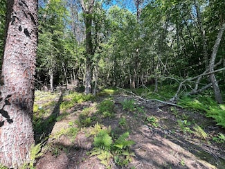 3970 Tennessee 68, Turtletown, TN 37391