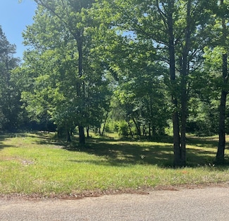 295 Alber McMillian Rd, Louisville, MS 39339