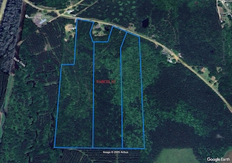 20.01 Acres, Purvis, MS 39475