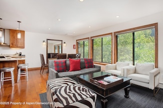 725 E Main St Unit 309, Aspen, CO 81611
