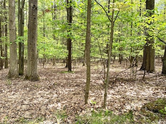 Lots 10-15 Adams Roosevelt, Roscommon, MI 48653