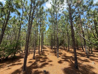 0 Beaver Dam Rd Unit 25031385, Cassatt, SC 29032