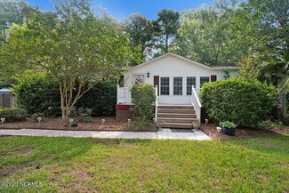 102 Dreyton Hall Ct, Rocky Point, NC 28457