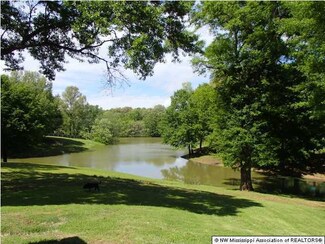 7486 Eleanor Cove, Walls, MS 38680