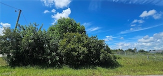 1214 Belgrave St, Lehigh Acres, FL 33913