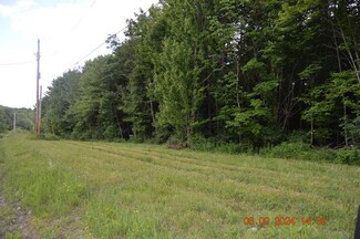 00 Braddock Rd, Athens Township, PA 18810