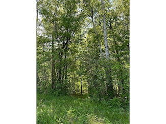 TBD 140th Street St, Amery, WI 54001