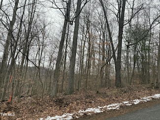 Tbd Lot 4 Skyline Dr, Bristol, TN 37620