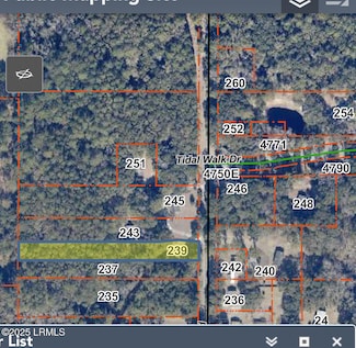 239 Little Capers Rd, Beaufort, SC 29907