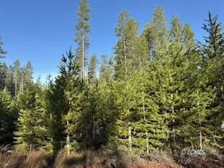 0 Artesian Dr Unit 3007475, Chiloquin, OR 97624