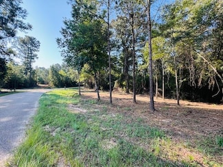 TBD Elmer Magee Rd, Other, LA 70438
