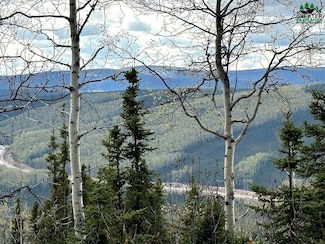 NHN Olnes Loop Rd, Fairbanks, AK 99712