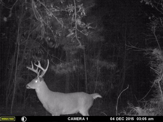 000 Spring Hill Rd, Smithdale, MS 39664