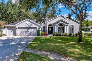 2804 Clover Dew Ct, Valrico, FL 33596