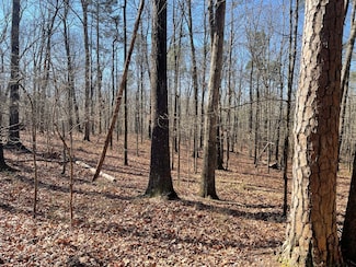 0 County Road 852 Unit 21222828, Heflin, AL 36264