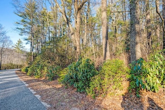 Lot 17 Bowery Rd, Highlands, NC 28741