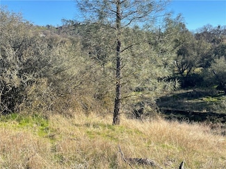 741 lot Long Hollow Dr, Yosemite Lakes, CA 93614