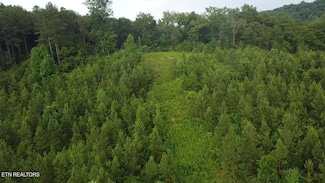 6 Three Point Rd, Vonore, TN 37885
