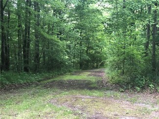 91450 Amos Rd, Scio, OH 43988