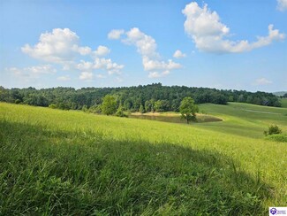 Tract 8 Troutman Ln, Clarkson, KY 42726