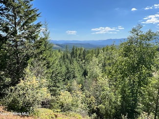 NKA Raven Ridge, Sandpoint, ID 83864