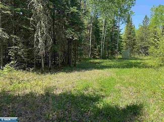 TBD County Road 526, Nashwauk, MN 55769