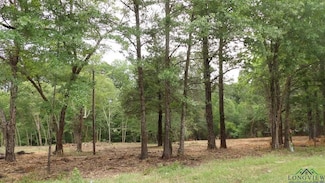 Tbd Shelley Rd, Jefferson, TX 75657