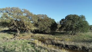 151 ac TBD Highway 114 Rd, Jermyn, TX 76459