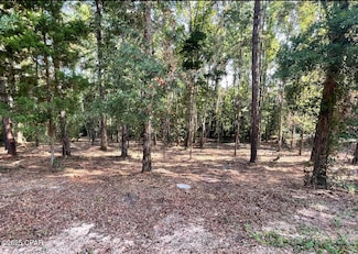 00 Keenkutter Rd, Vernon, FL 32462