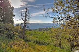 1986 S Pine Meadow Dr Unit DMS-2, Coalville, UT 84017