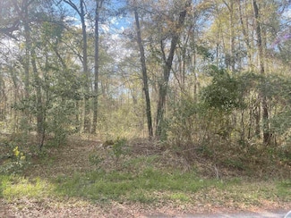 TBD Senior Rd, Kingstree, SC 29556