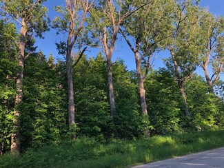 0000 Co Rd 403, Newberry, MI 49868