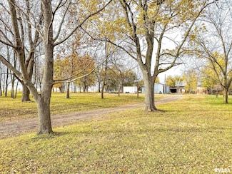 16881 Crum Rd, Virginia, IL 62691