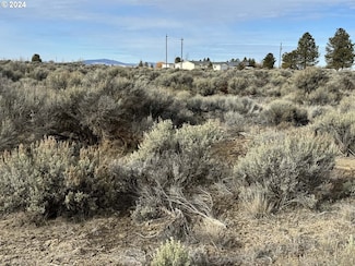 0 Twilight Rd Unit 3700~TL 24273769, Christmas Valley, OR 97641