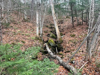 Lot 1 & 2 Thistle St, Upton, ME 04261