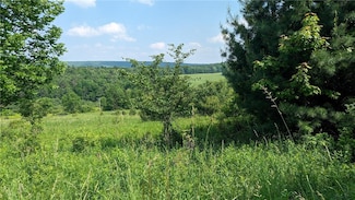 0 Hubbard Hill Rd, Maryland, NY 12116